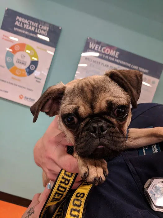 Banfield Pet Hospital 8