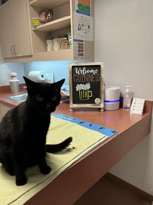Colonial Veterinary Clinic 5