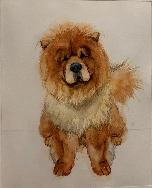 Five Forks Animal Clinic 12