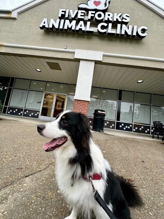 Five Forks Animal Clinic 12