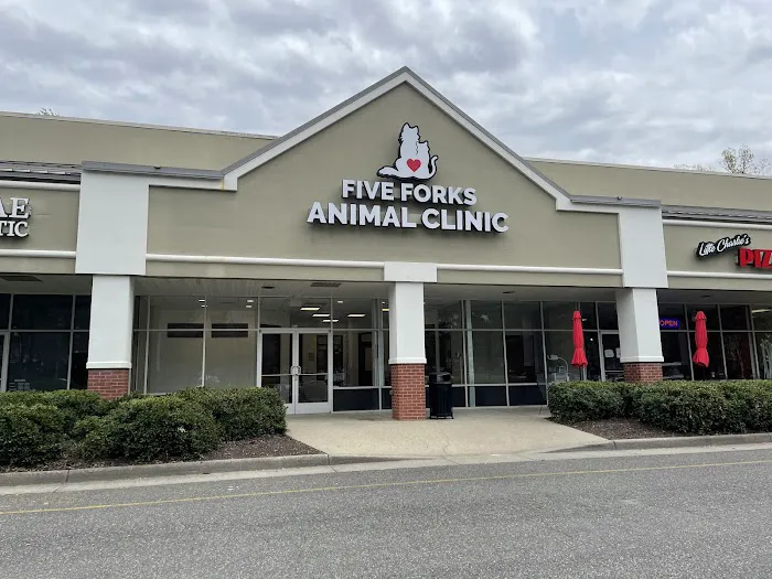 Five Forks Animal Clinic 12