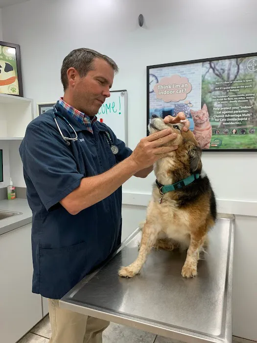 Williamsburg Veterinary Clinic 5