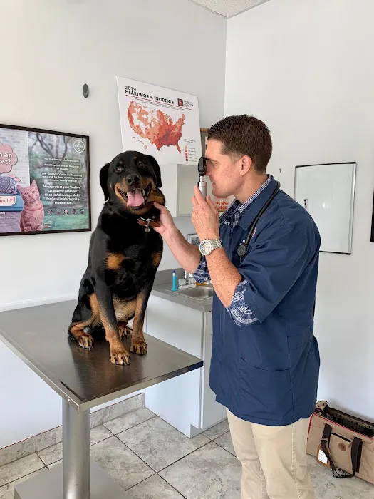 Williamsburg Veterinary Clinic 1
