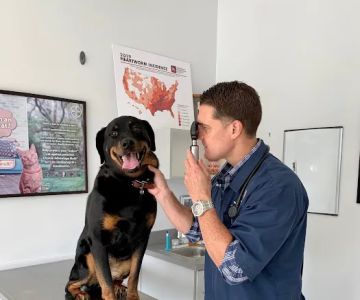 Williamsburg Veterinary Clinic