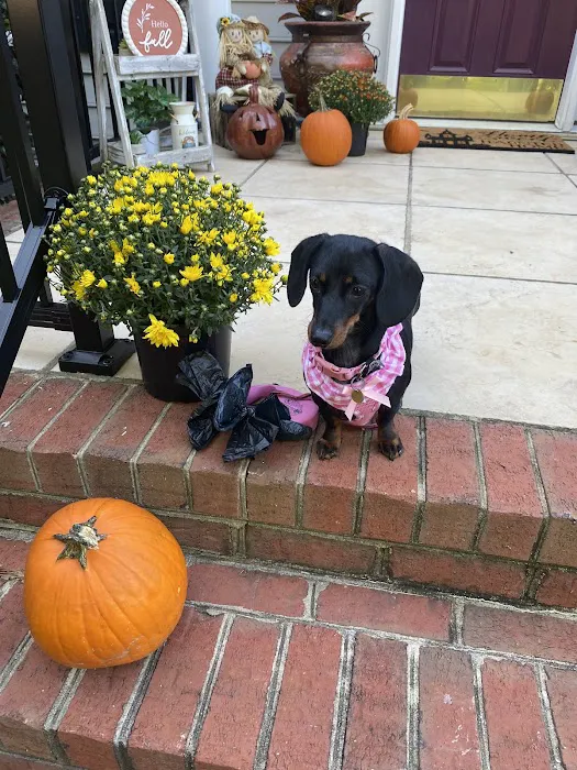 Williamsburg Veterinary Clinic 6