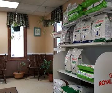 Battlefield Veterinary Clinic