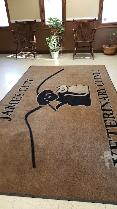 Battlefield Veterinary Clinic 2