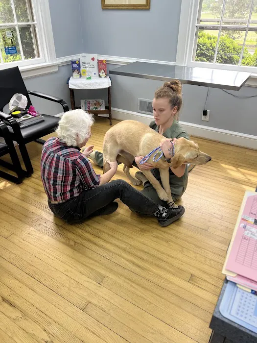 New Market Veterinary Clinic 2