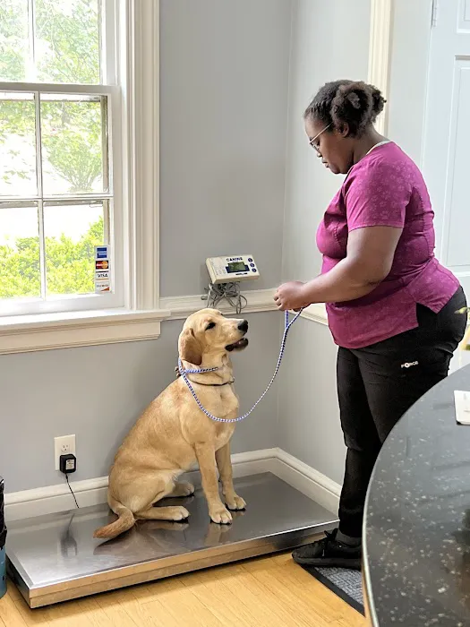 New Market Veterinary Clinic 4