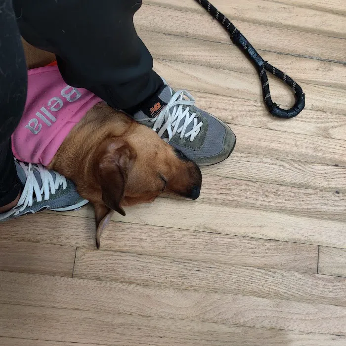 New Market Veterinary Clinic 10
