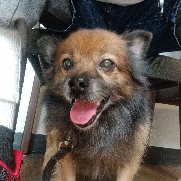 Fairfield Veterinary Hospital 10