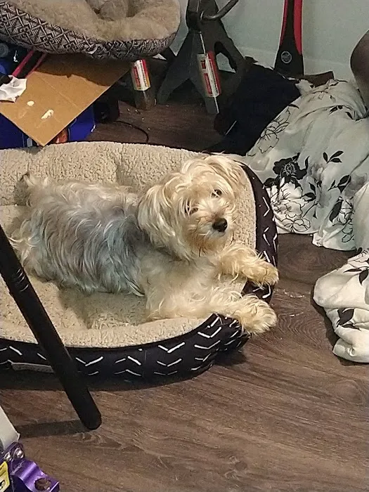Fairfield Veterinary Hospital 8