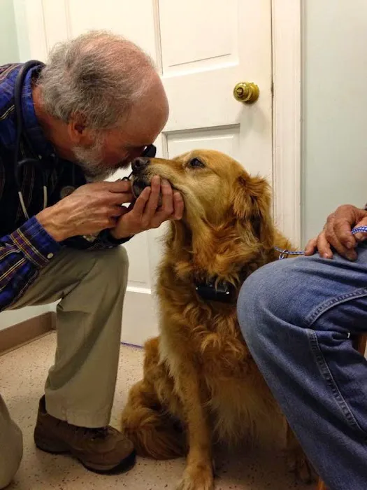 Varina Veterinary Clinic 2
