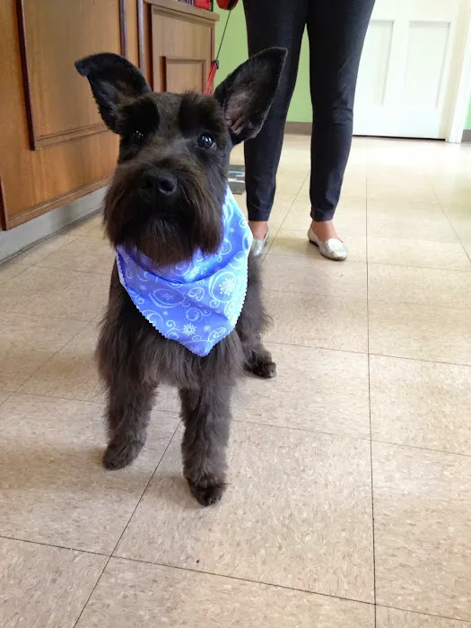 Varina Veterinary Clinic 9