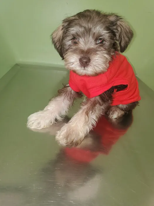 Varina Veterinary Clinic 3