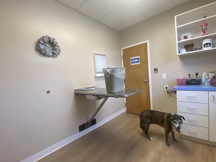 Seaford Veterinary Medical Center 12