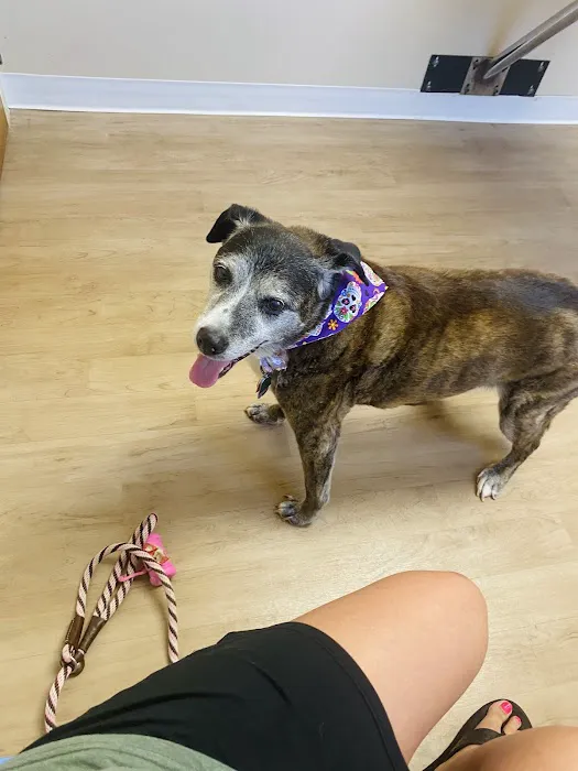 Seaford Veterinary Medical Center 12