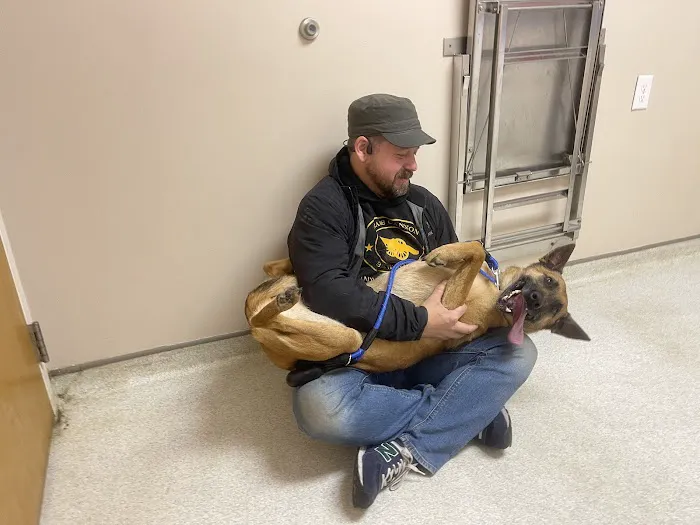 Seaford Veterinary Medical Center 12
