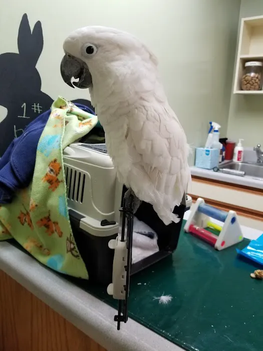 Grafton Animal Hospital 12