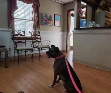 Woodland Veterinary Hospital: Amor Dawn Erikso DVM
