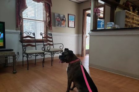 Woodland Veterinary Hospital: Amor Dawn Erikso DVM