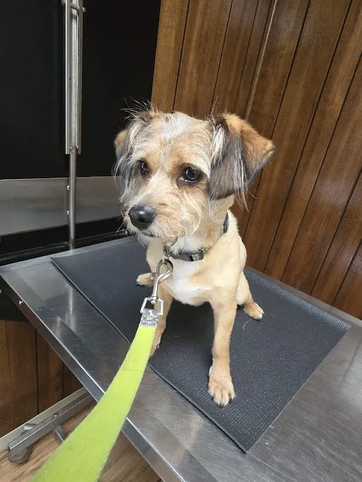 Woodland Veterinary Hospital 12