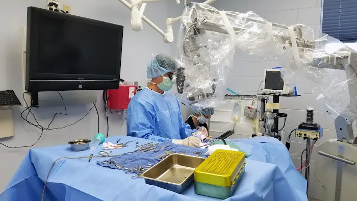 Veterinary Referral & Critical Care 4