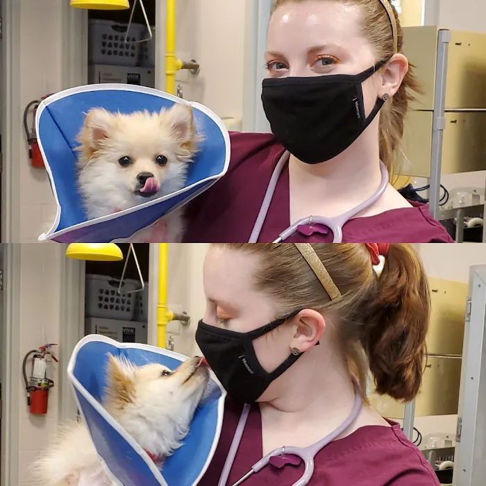 Veterinary Referral & Critical Care 9