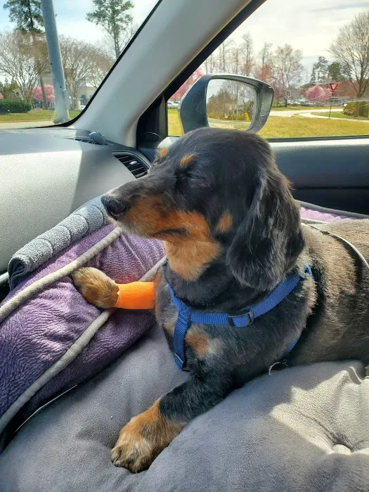 Banfield Pet Hospital 12