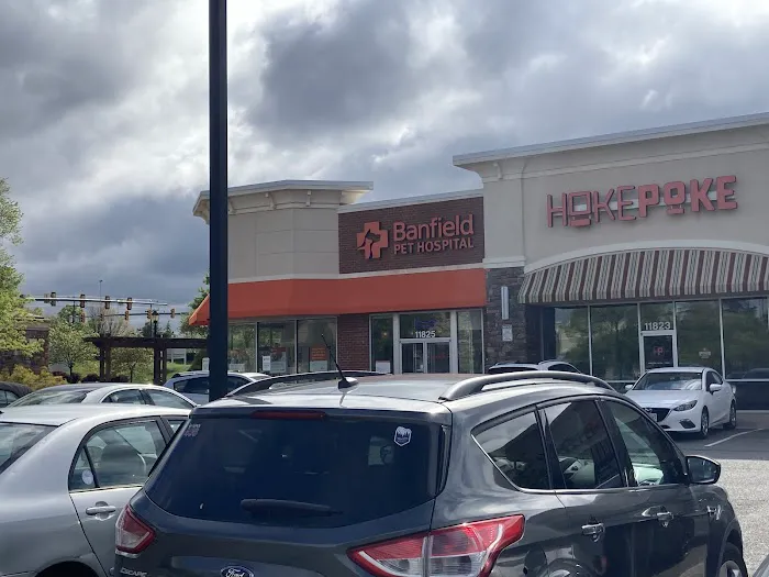 Banfield Pet Hospital 12