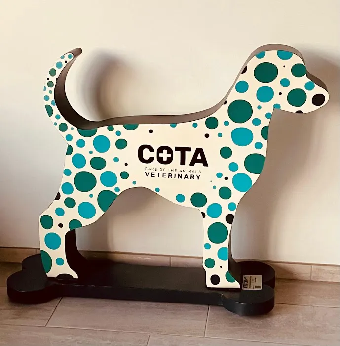 COTA Veterinary 12