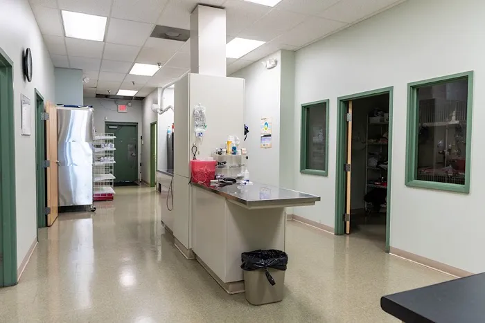 West End Veterinary Clinic 12