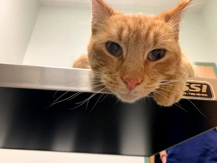 West End Veterinary Clinic 12