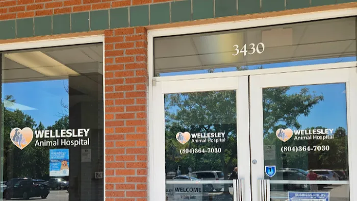 Wellesley Animal Hospital 12