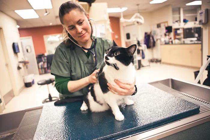 BluePearl Pet Hospital 1