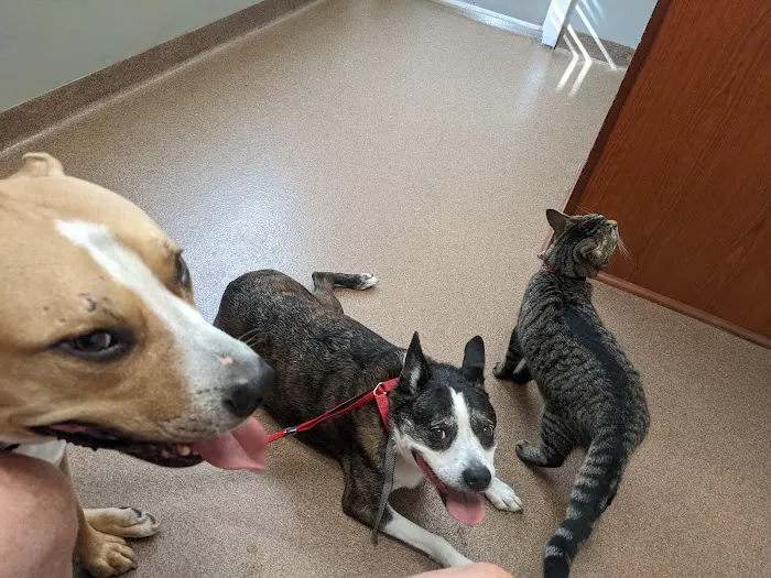 River City Veterinary Hospital 7