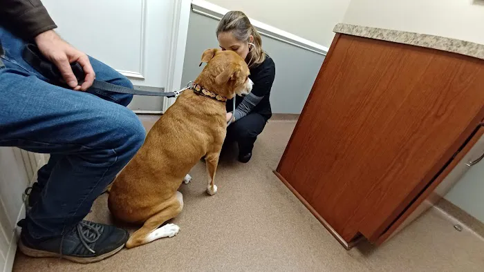 River City Veterinary Hospital 5