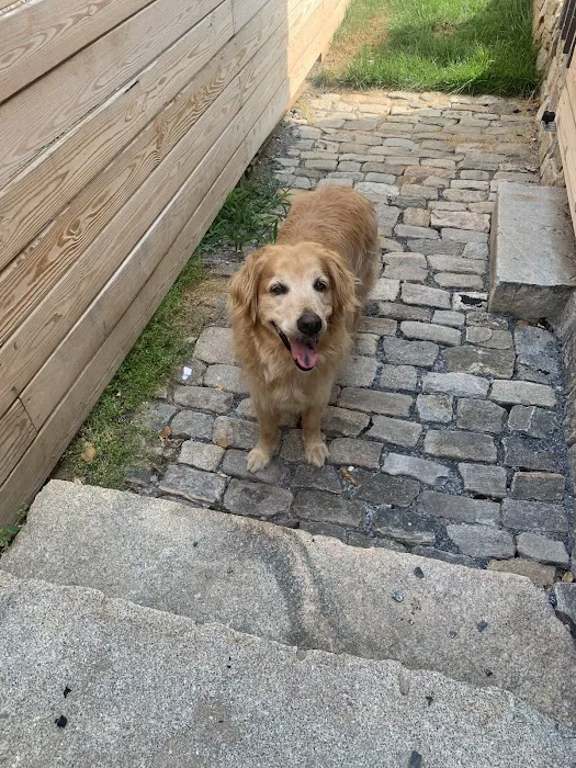 River City Veterinary Hospital 10