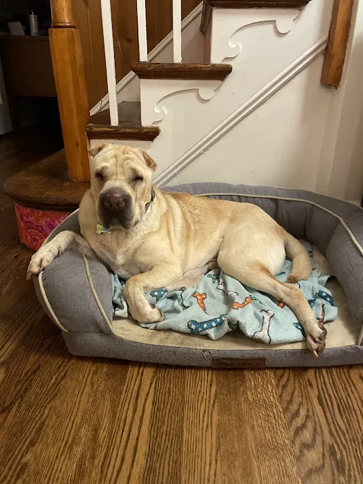 Betty Baugh's Animal Clinic 7
