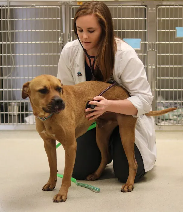 Betty Baugh's Animal Clinic 10