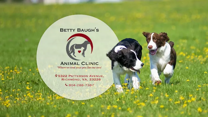 Betty Baugh's Animal Clinic 4
