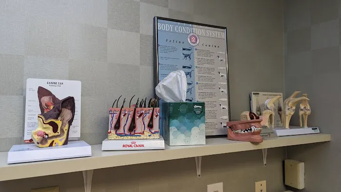 Broad Street Veterinary Hospital 5