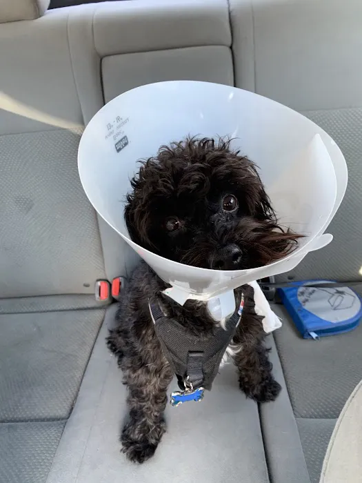 Susan M. Markel Veterinary Hospital at the Richmond SPCA 6