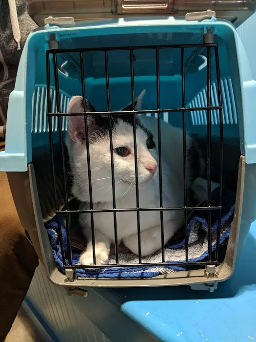 Susan M. Markel Veterinary Hospital at the Richmond SPCA 1