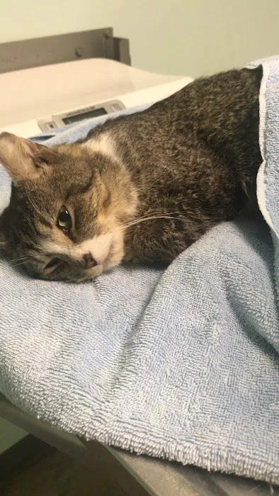Susan M. Markel Veterinary Hospital at the Richmond SPCA 5