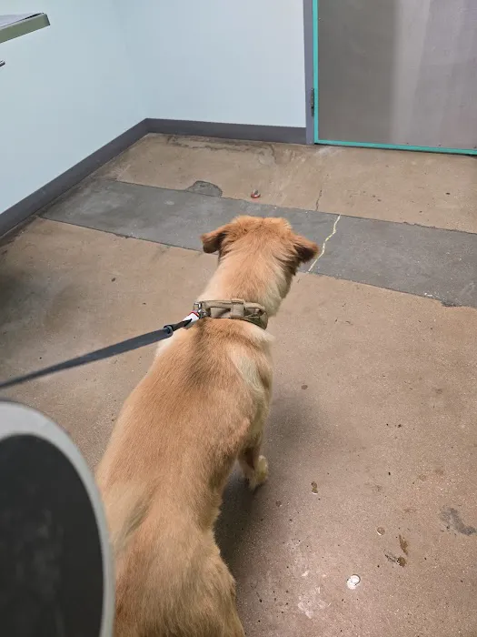 Susan M. Markel Veterinary Hospital at the Richmond SPCA 4