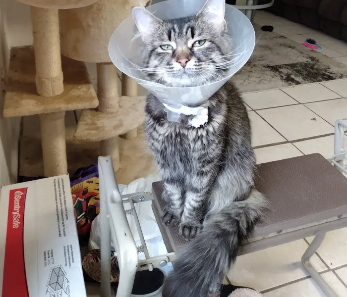 Susan M. Markel Veterinary Hospital at the Richmond SPCA 2