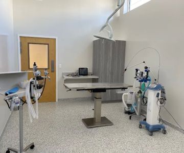 Scott's Addition Animal Hospital