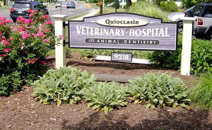 Quioccasin Veterinary Hospital 12