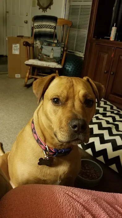 Tuckahoe Veterinary Hospital 1